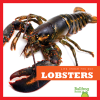 Lobsters