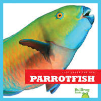 Parrotfish