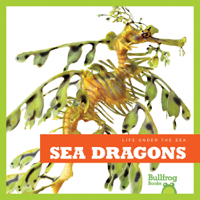 Sea Dragons