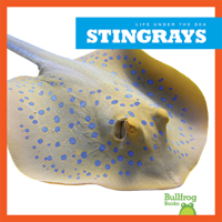 Stingrays
