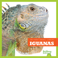 Iguanas