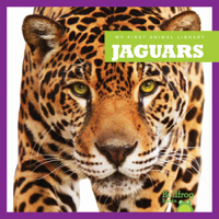 Jaguars