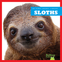 Sloths