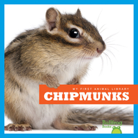 Chipmunks