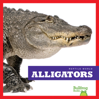 Alligators
