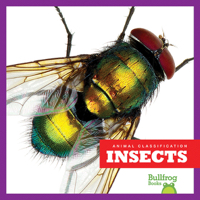 Insects