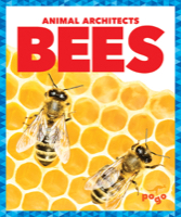 Bees