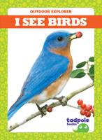 I See Birds