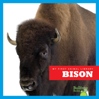 Bison