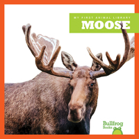 Moose