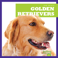 Golden Retrievers