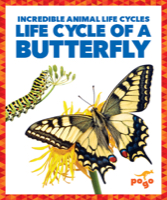 Life Cycle of a Butterfly