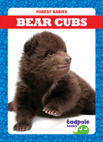 Bear Cubs
