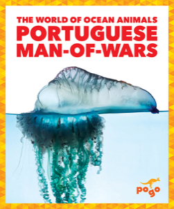 Portuguese ManofWars