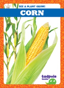 Corn