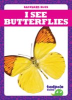 I See Butterflies
