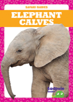 Elephant Calves