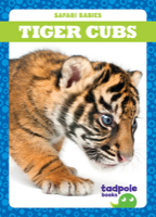 Tiger Cubs