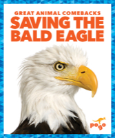 Saving the Bald Eagle