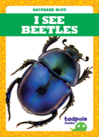 I See Beetles
