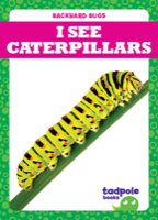 I See Caterpillars