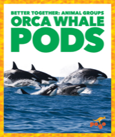 Orca Whale Pods
