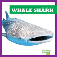 Whale Shark