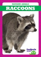 Raccoons