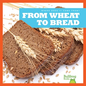 From Wheat to Bread