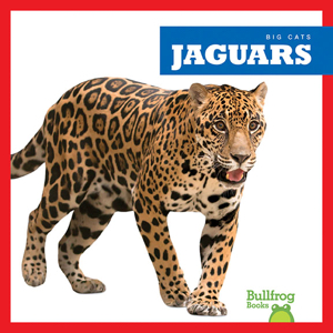 Jaguars