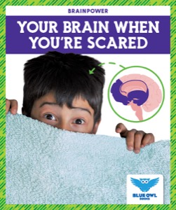 Your Brain When You're Scared