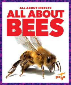 All About Bees