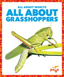 All About Grasshoppers