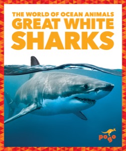 Great White Sharks