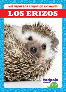 Los erizos (Hedgehogs)