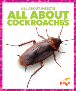 All About Cockroaches