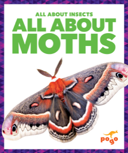 All About Moths