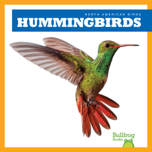 Hummingbirds