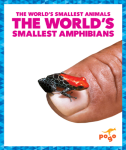 The World's Smallest Amphibians