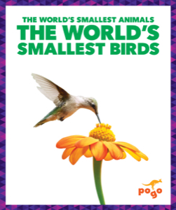 The World's Smallest Birds