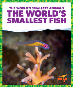 The World's Smallest Fish