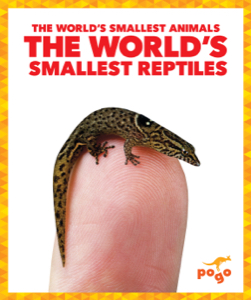 The World's Smallest Reptiles