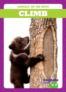 Climb
