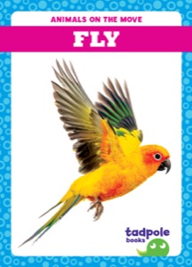 Fly