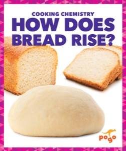 How Does Bread Rise?