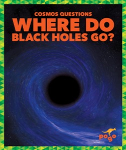 Where Do Black Holes Go?