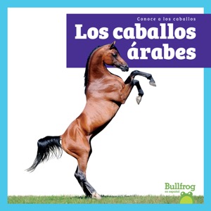 Los caballos árabes (Arabian Horses)