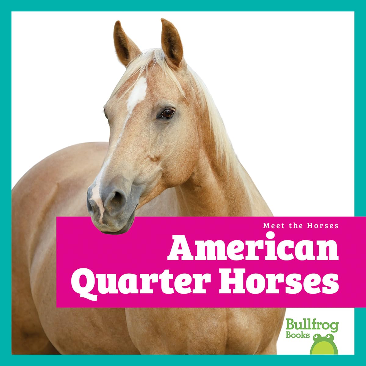 American Quarter Horses (Meet the Horses)