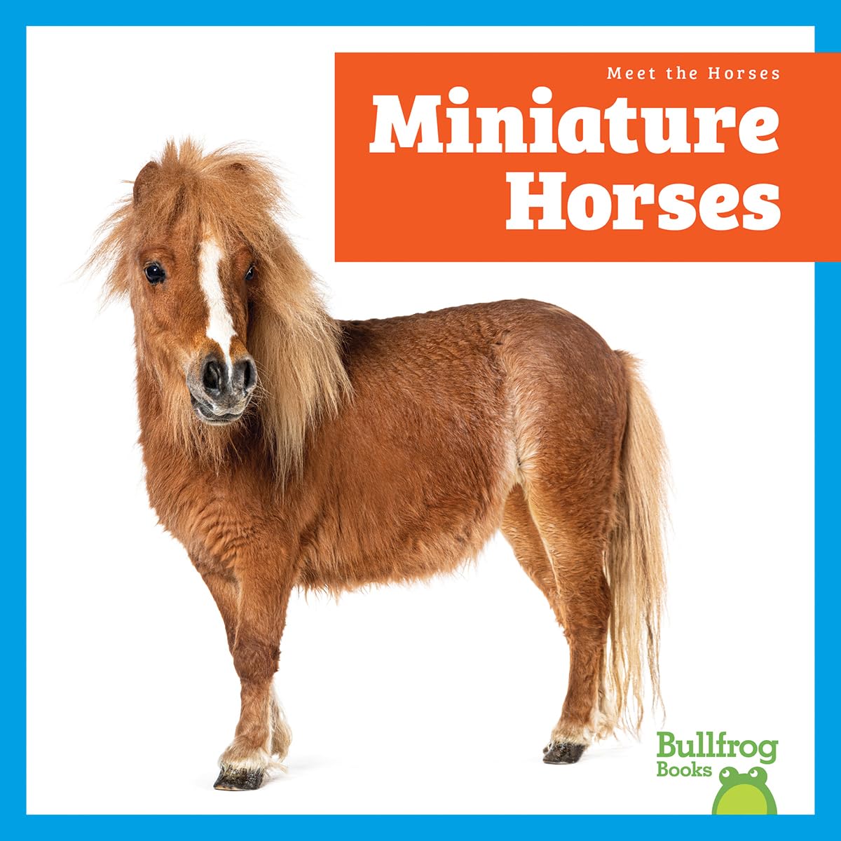Miniature Horses (Meet the Horses)