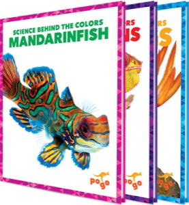 Science Behind the Colors